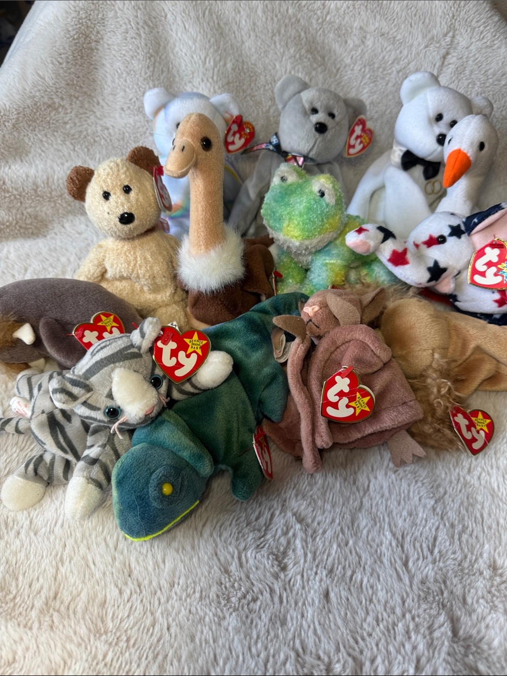 Beanie Baby Bundle